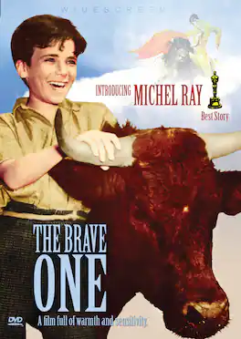 The Brave One - BLU-RAY