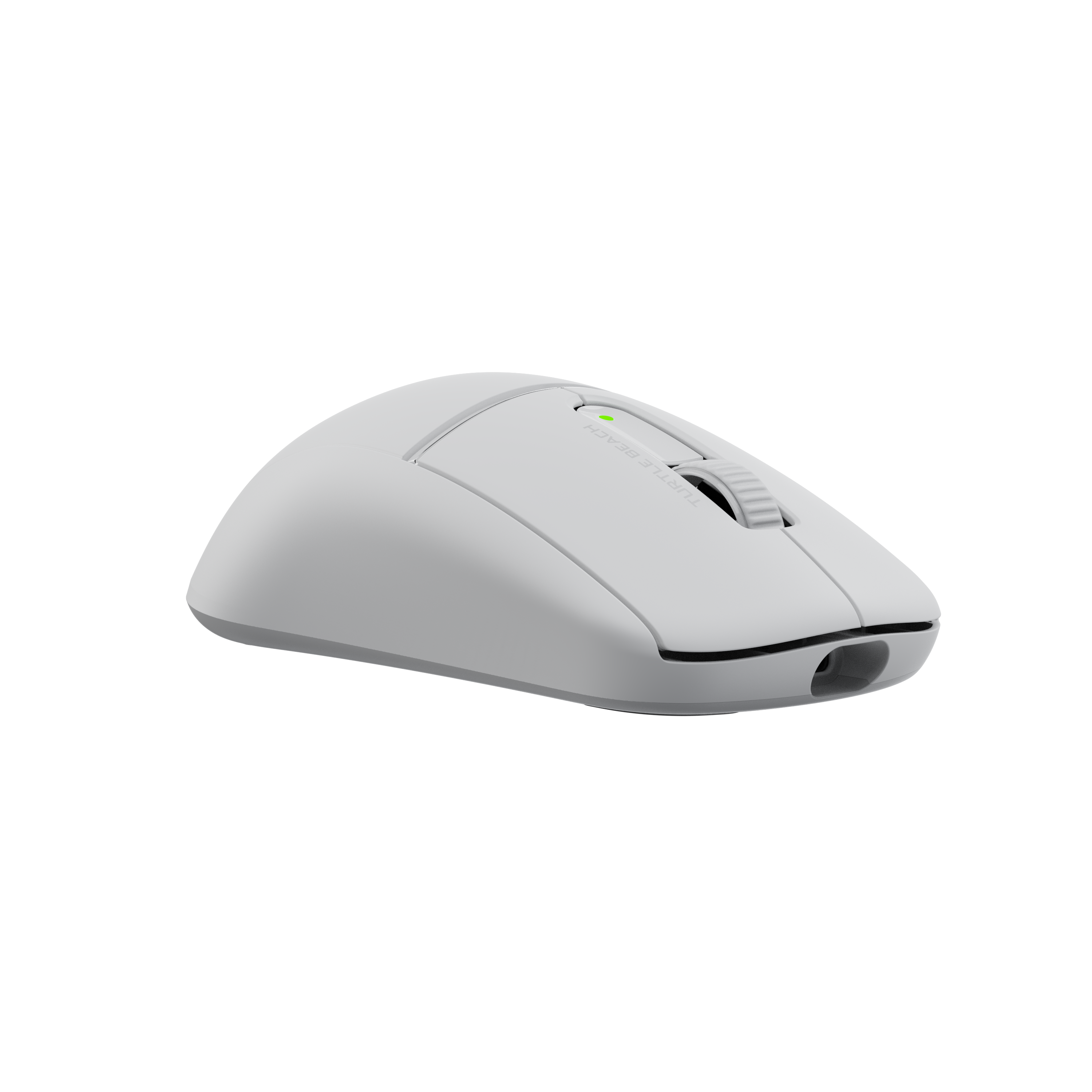 The text on the image reads:

"BEACH H2 7 TURTLE"