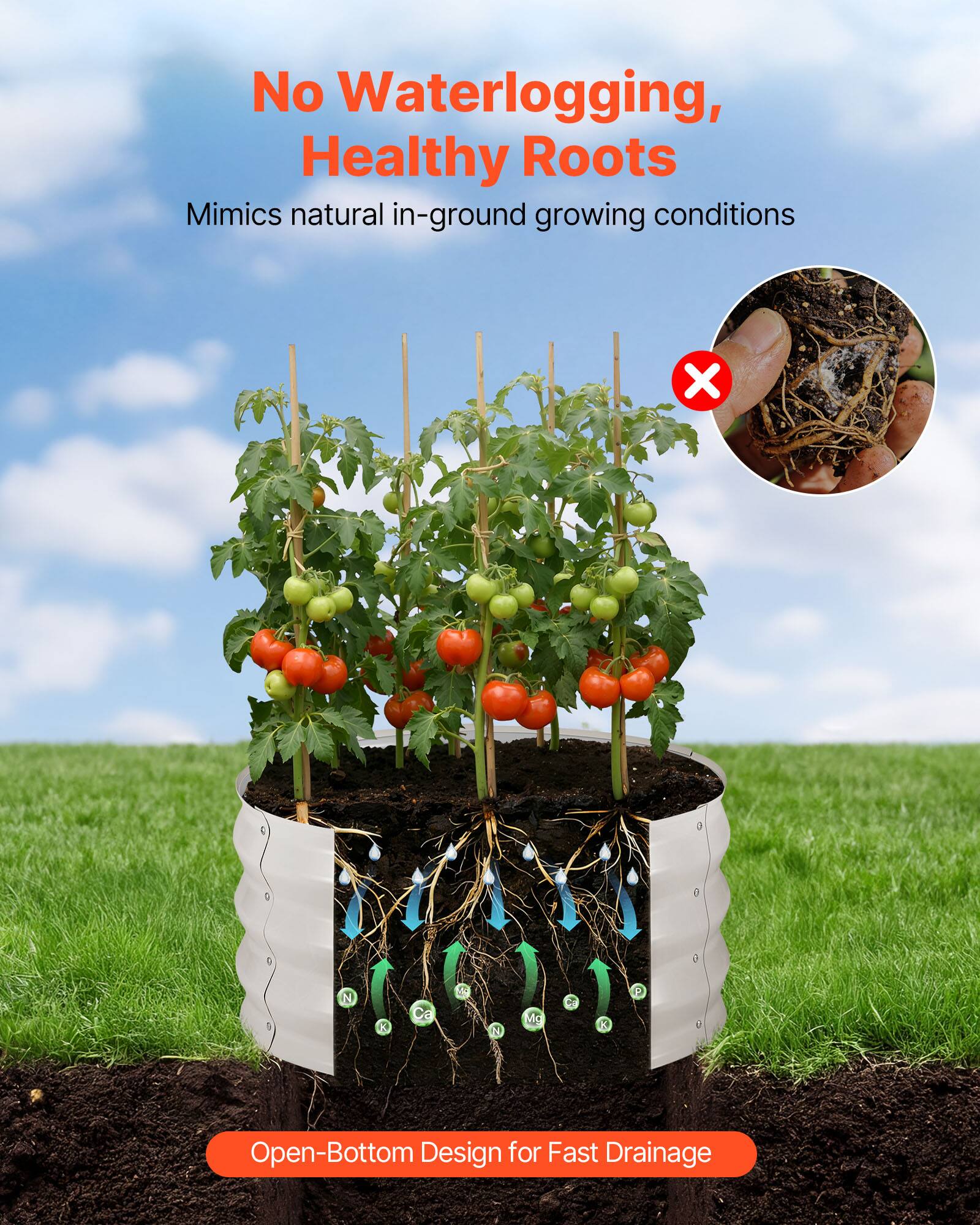 No Waterlogging, Healthy Roots  
Mimics natural in-ground growing conditions  

Open-Bottom Design for Fast Drainage
