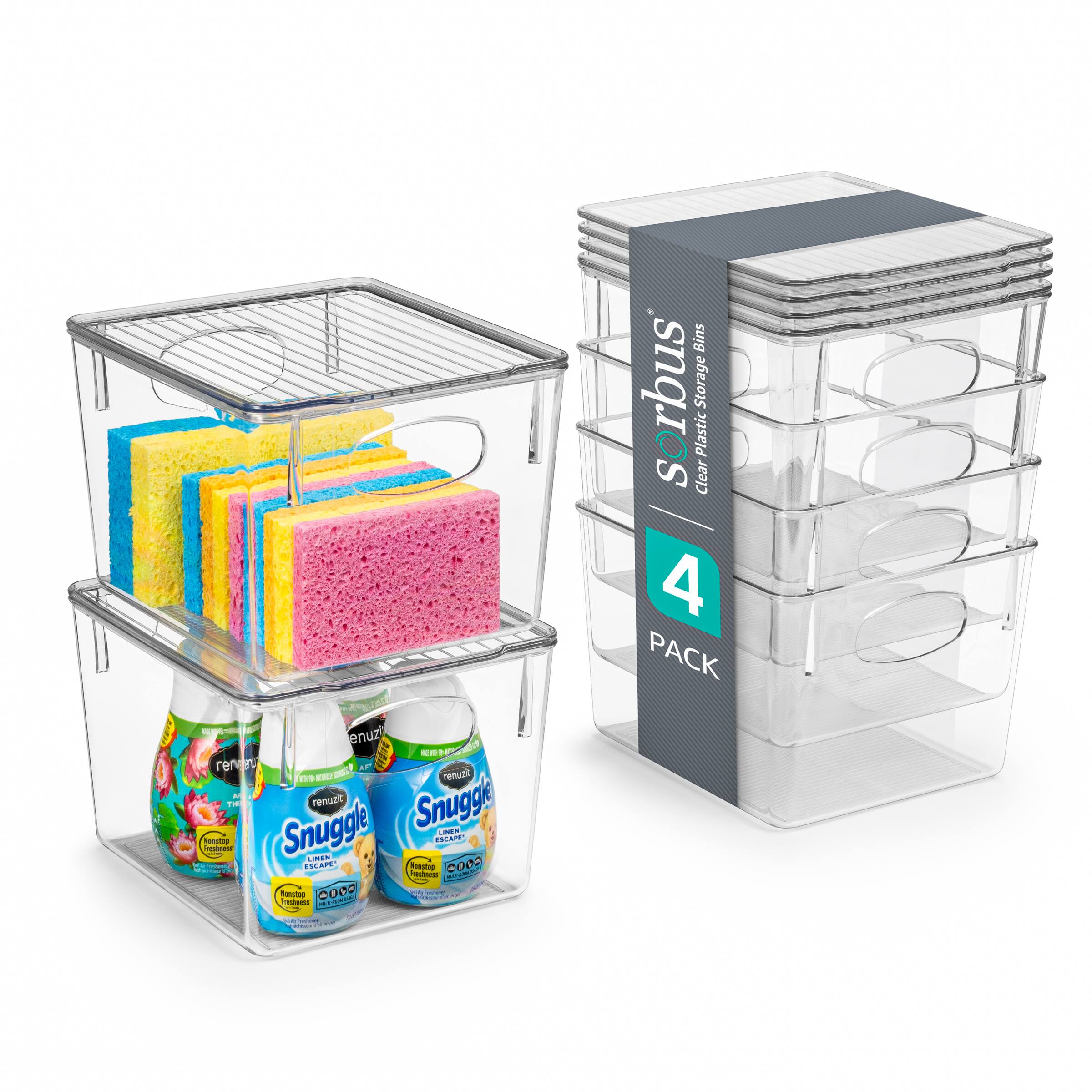 Small Clear Storage Bins With Lids