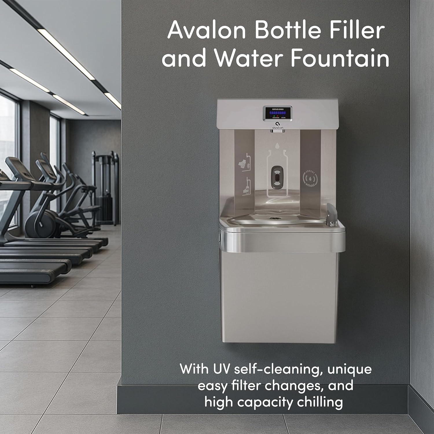 Avalon Bottle Filler and Water Fountain

With UV self-cleaning, unique easy filter changes, and high capacity chilling