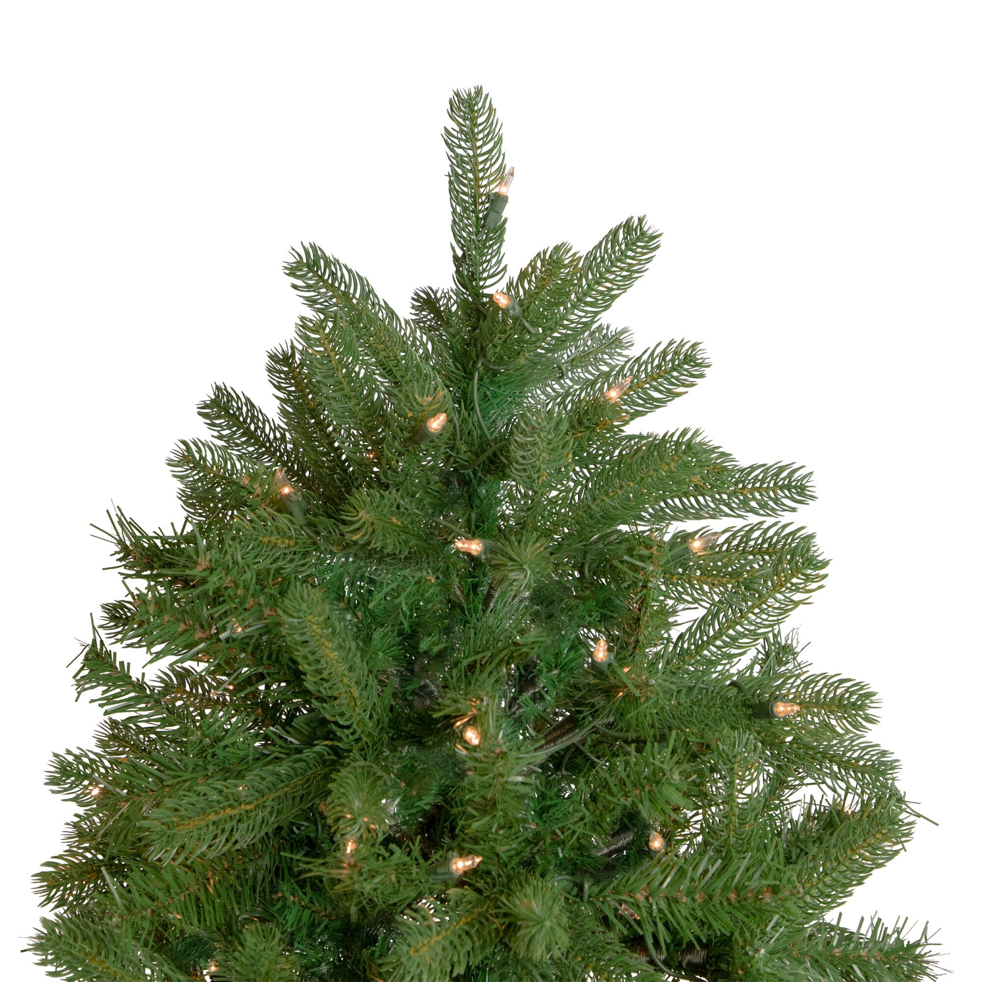 Alt View 4. Northlight - 6.5' Pre-Lit Full Sierra Noble Fir Artificial Christmas Tree, Clear Lights - Green.