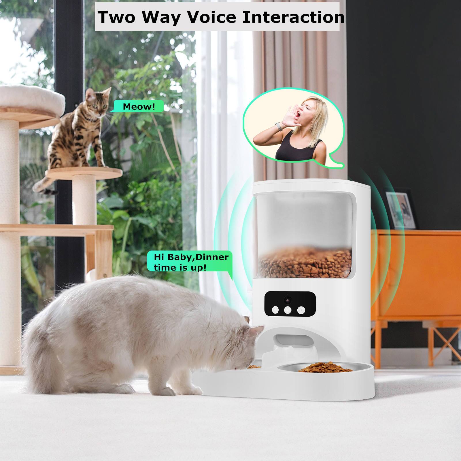 Two Way Voice Interaction

Meow!

Hi Baby, Dinner time is up!