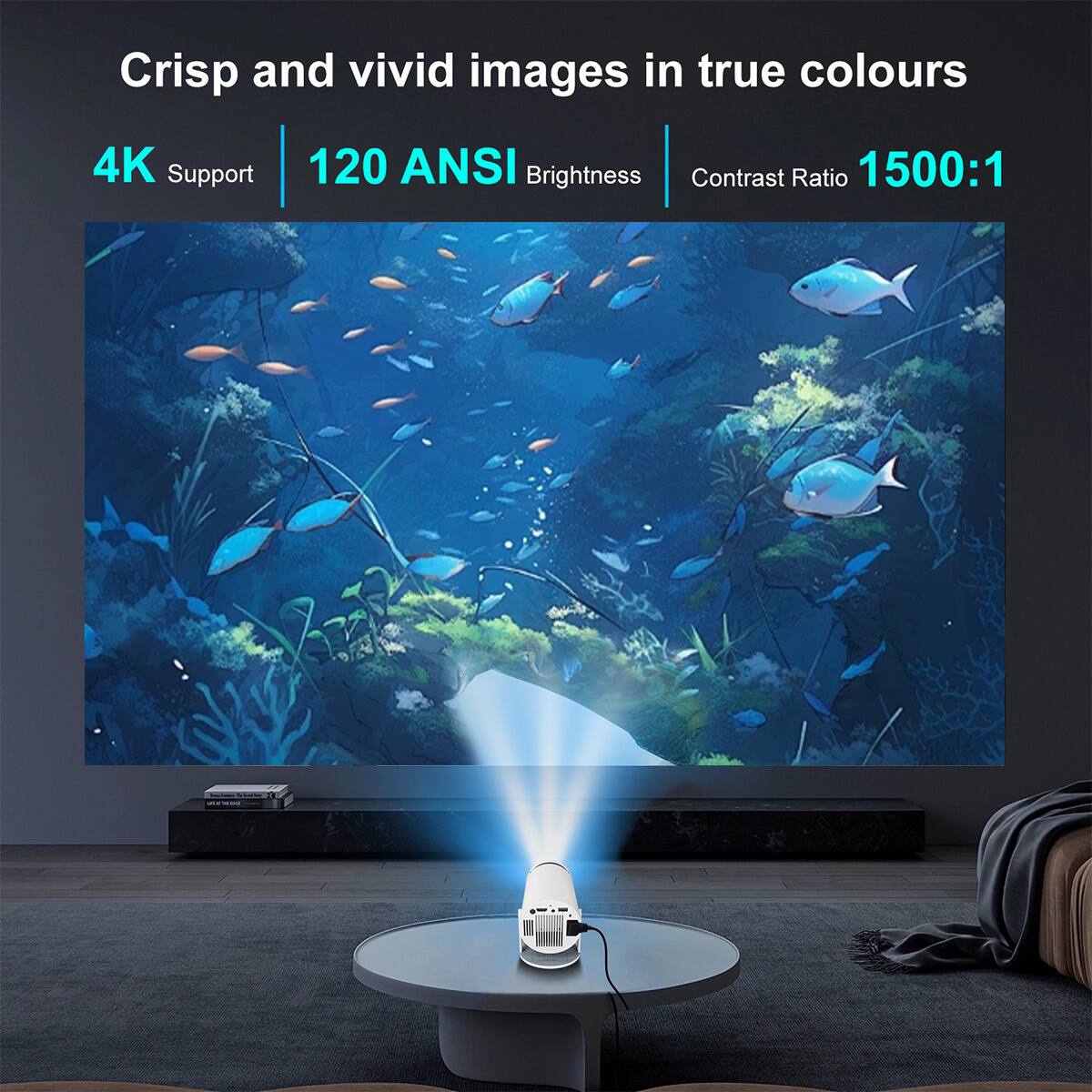 Crisp and vivid images in true colours

4K Support | 120 ANSI Brightness | Contrast Ratio 1500:1
