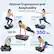 Optimal Ergonomics and Adaptability
Excellent Performance
Legs: Fitness
Balance: Stability
Up to 350 lbs
Endurance: Shoulders
Core Strength: Arms