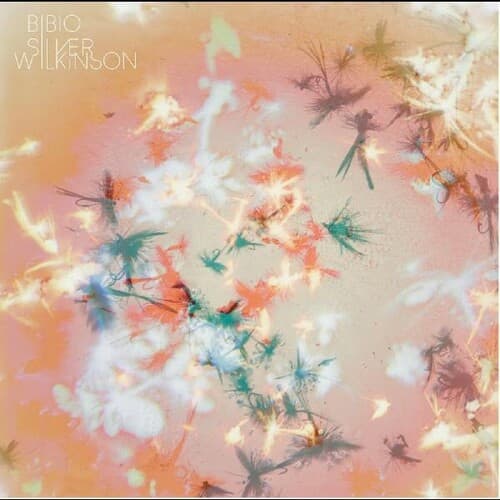 Bibio - Silver Wilkinson   - COMPACT DISCS [CD] price history on PriceWatchPro