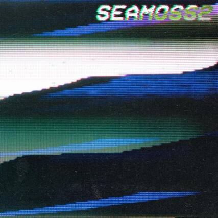Front. Sea Moss - Seamoss2 - CASSETTES.