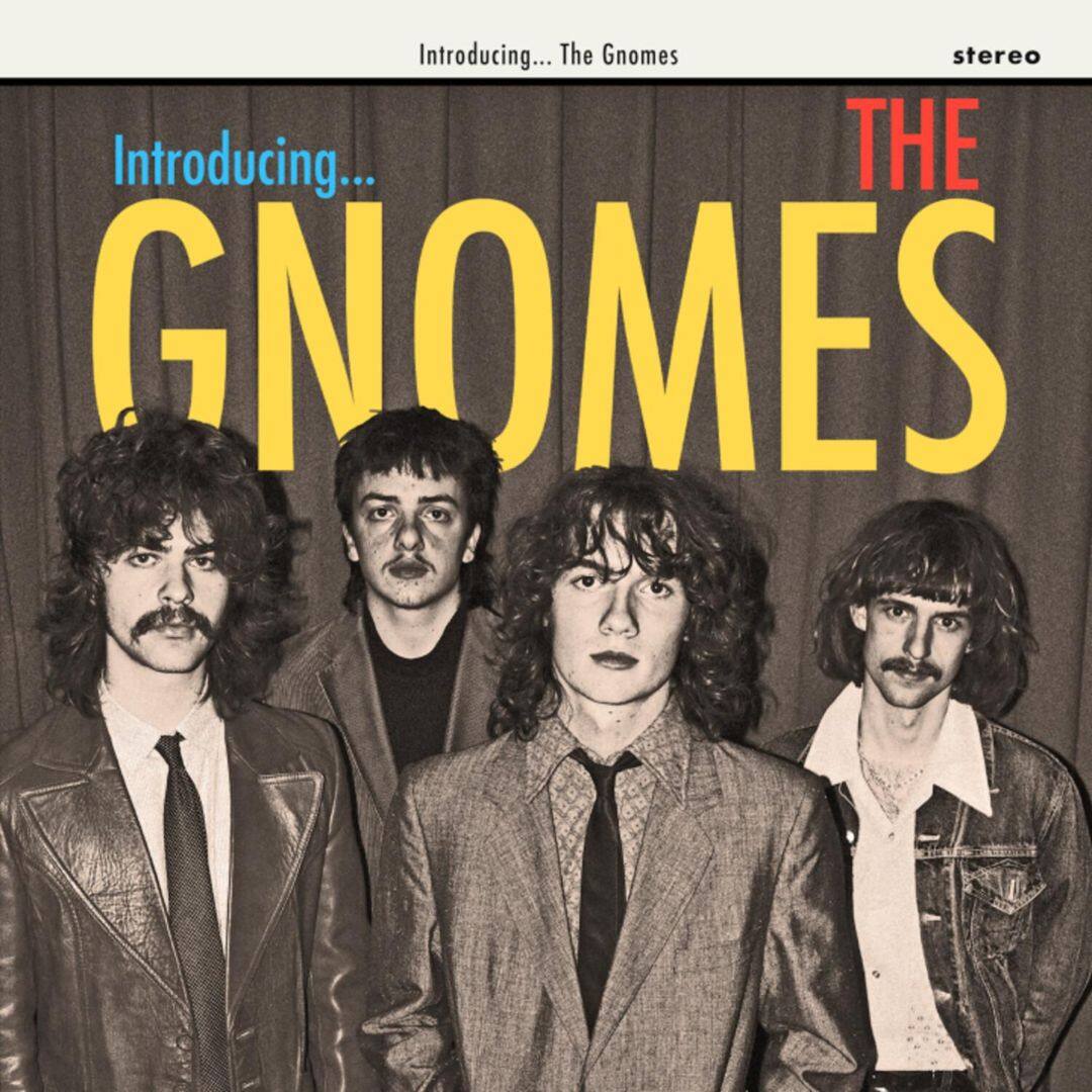 Front. The Gnomes [LP].