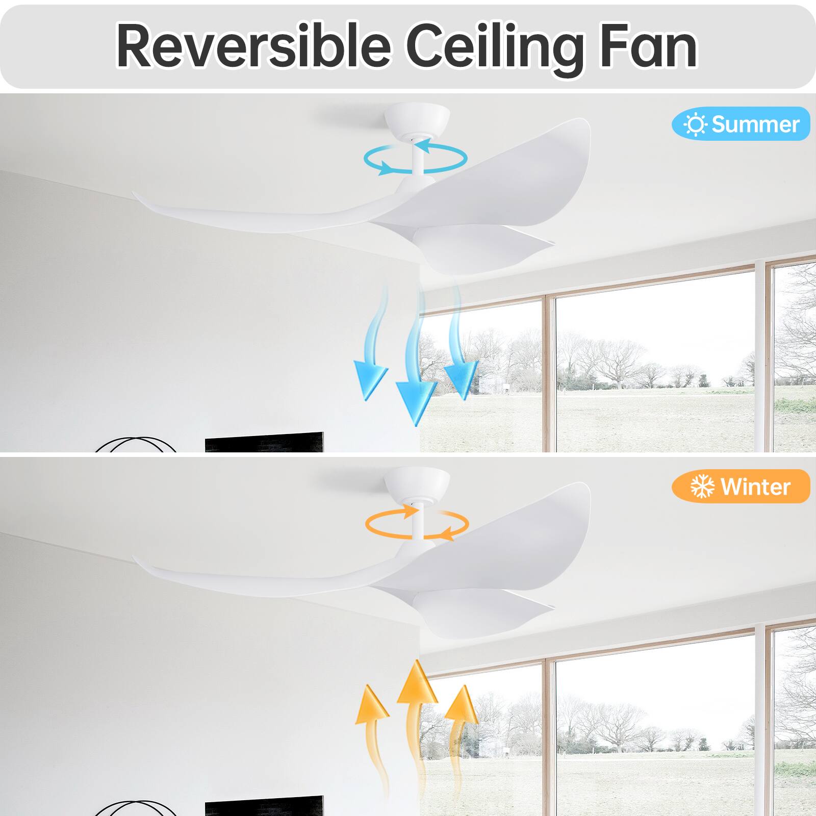 Reversible Ceiling Fan

Summer

Winter