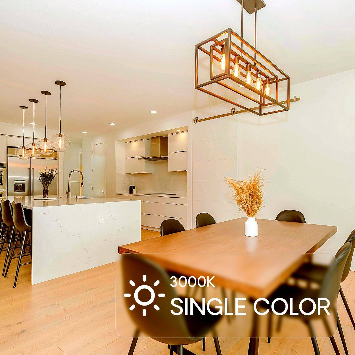3000K SINGLE COLOR