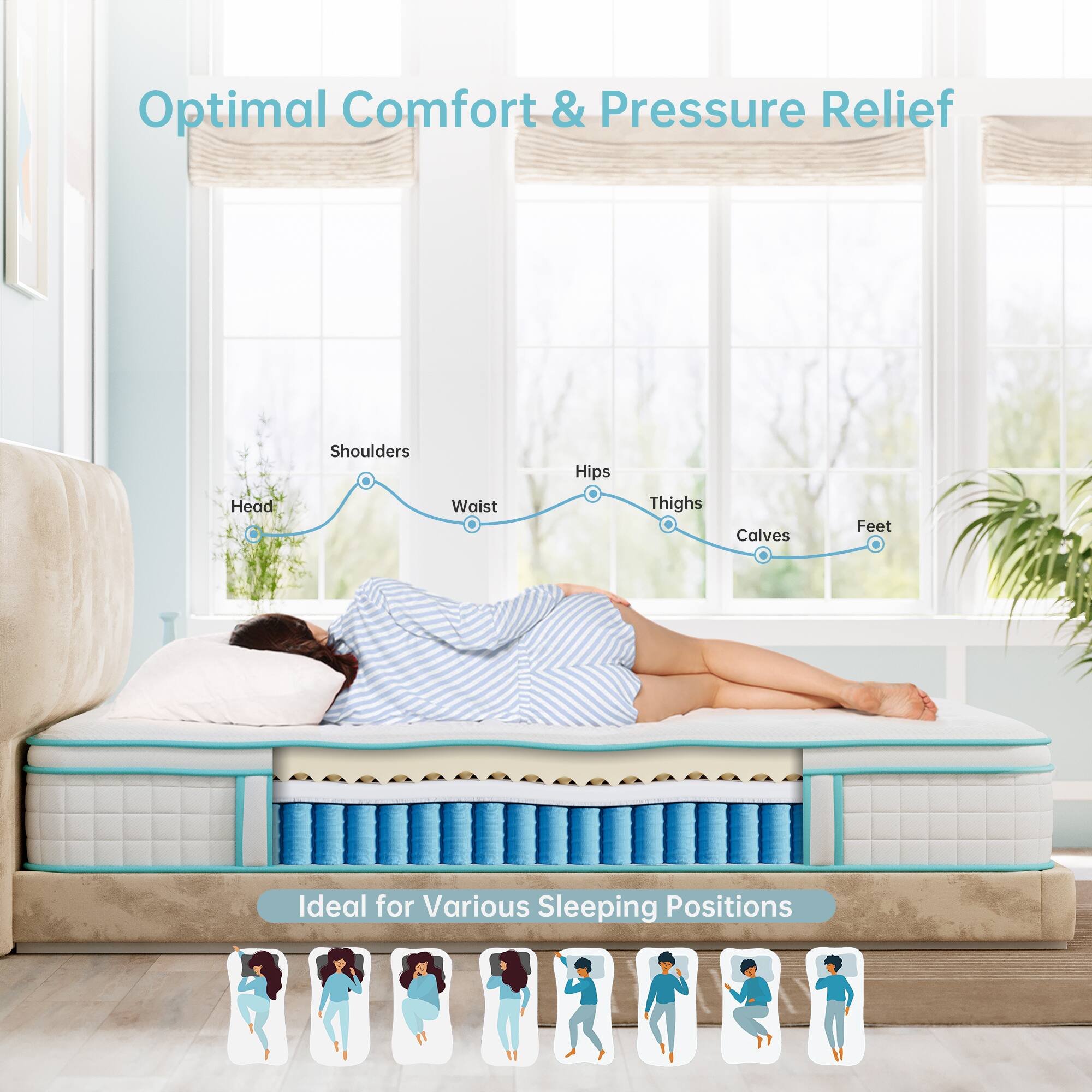 Optimal Comfort & Pressure Relief

Head Shoulders Waist Hips Thighs Calves Feet

Ideal for Various Sleeping Positions