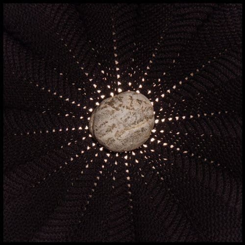Nat Baldwin - In the Hollows  - VINYL LP