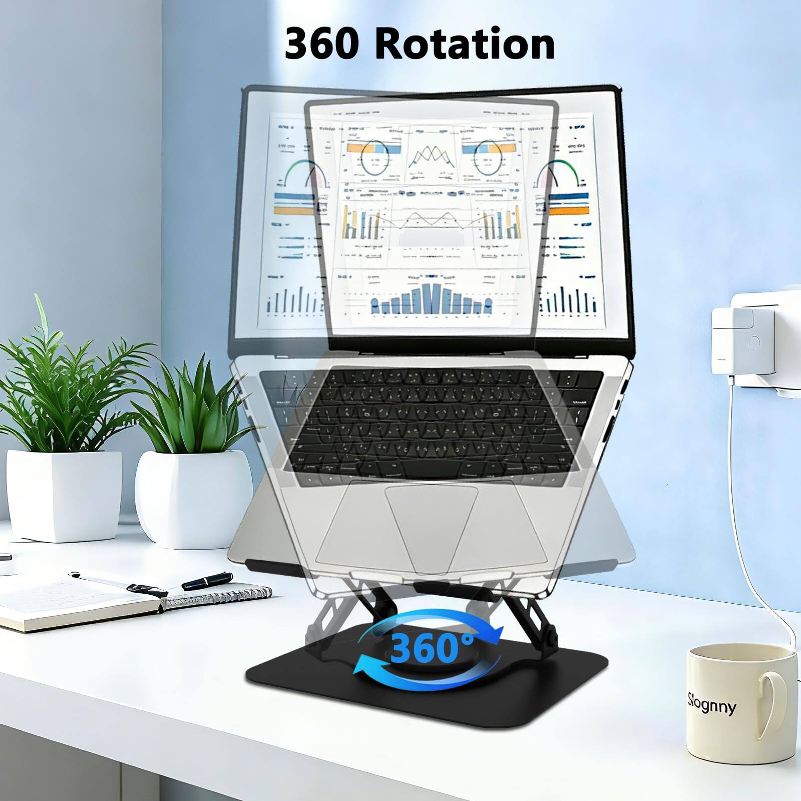 360 Rotation  
360°