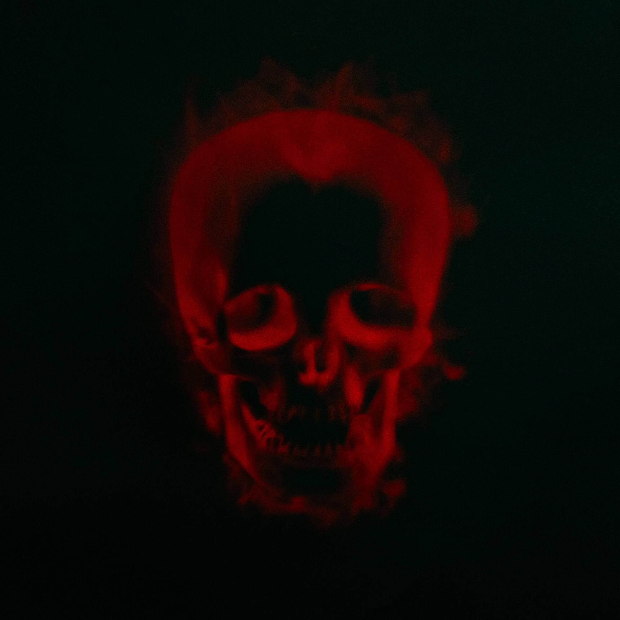 Alt View 8. Northlight - Halloween Skull Outdoor Light Show Projector - 8" - Black.