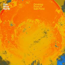 Run River North - Drinking from a Salt Pond - VINYL LP