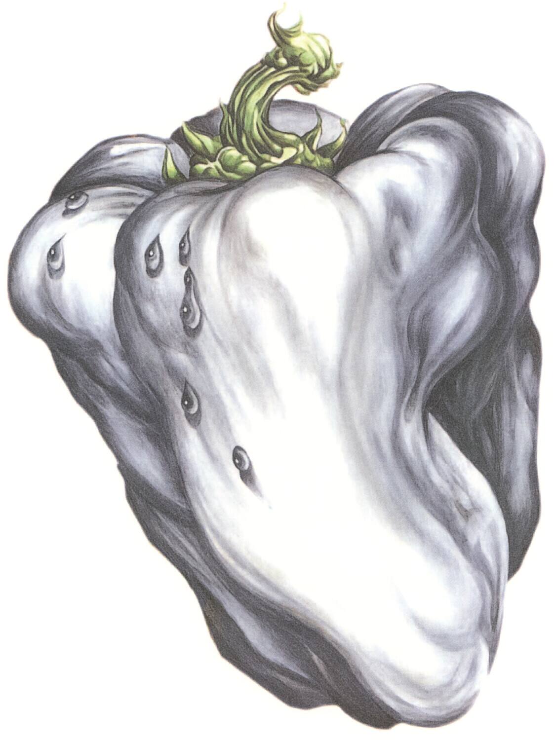 Ween - White Pepper   - VINYL LP