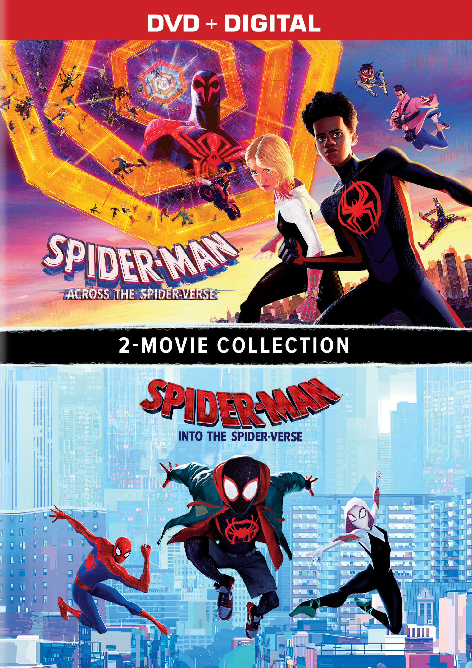 Spider-Man: Across The Spider-Verse - DVD + Digital