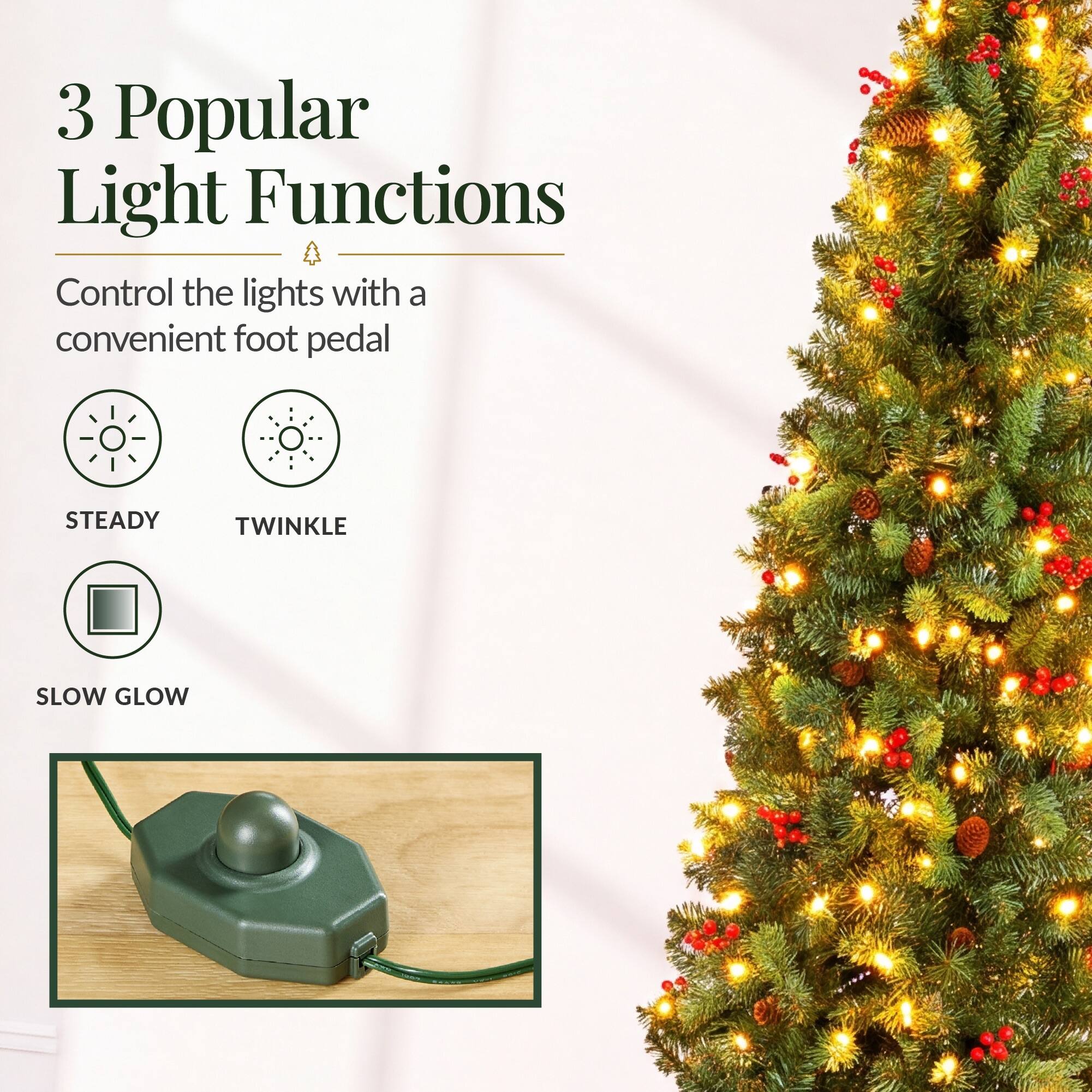 3 Popular Light Functions  
Control the lights with a convenient foot pedal  
STEADY  
TWINKLE  
SLOW GLOW