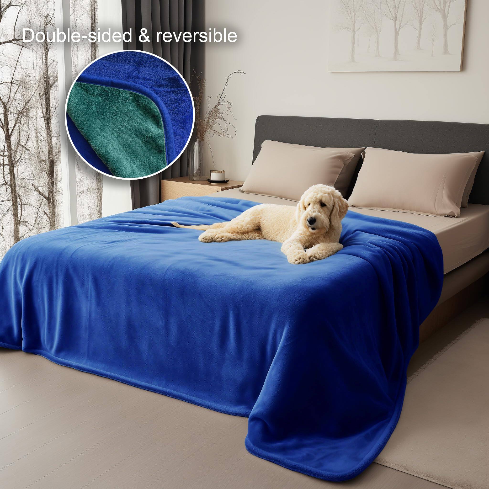 Double-sided & reversible