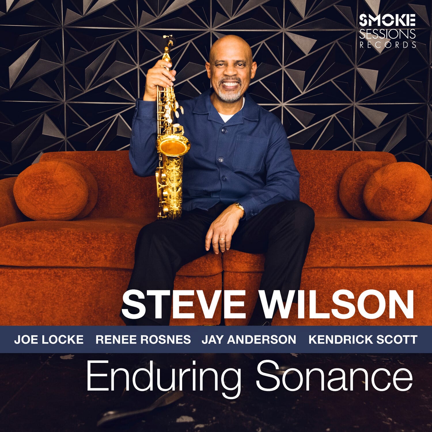 Steve Wilson - Enduring Sonance   - VINYL LP price history on PriceWatchPro
