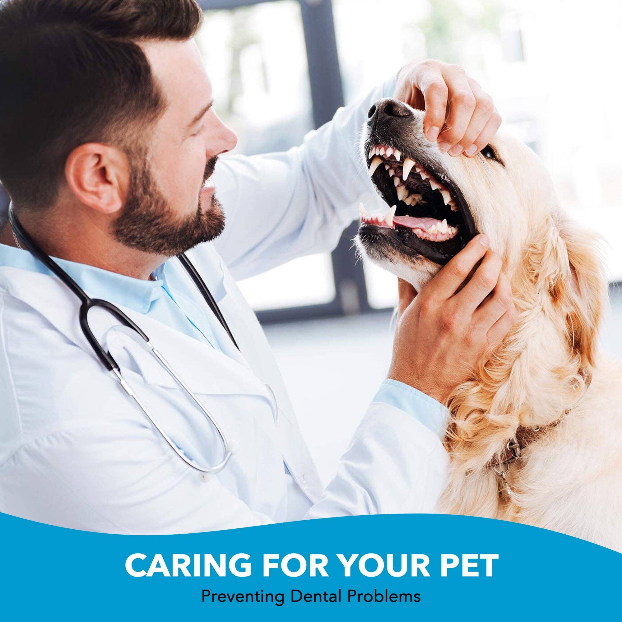 CARING FOR YOUR PET  
Preventing Dental Problems