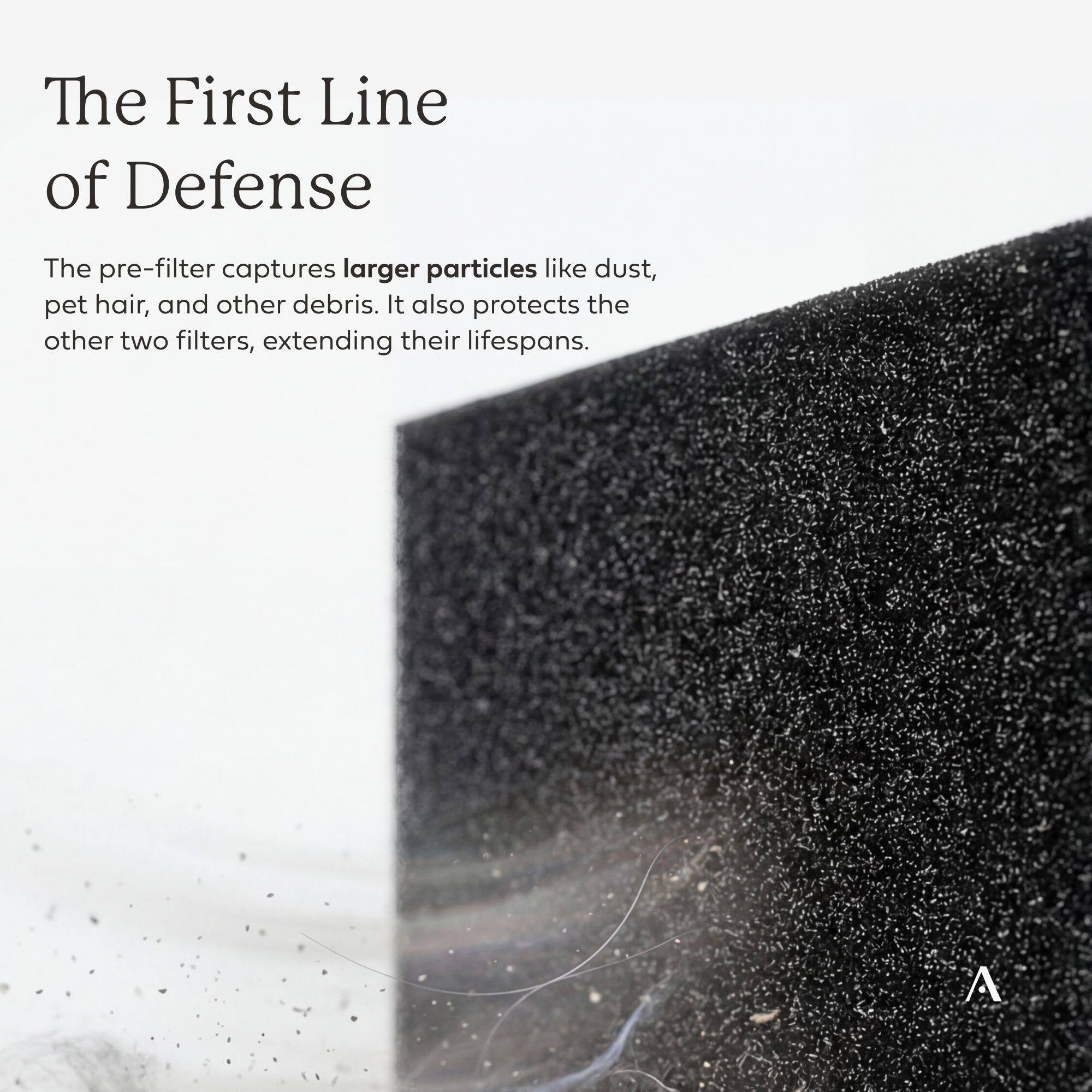 The First Line of Defense

The pre-filter captures larger particles like dust, pet hair, and other debris. It also protects the other two filters, extending their lifespans.