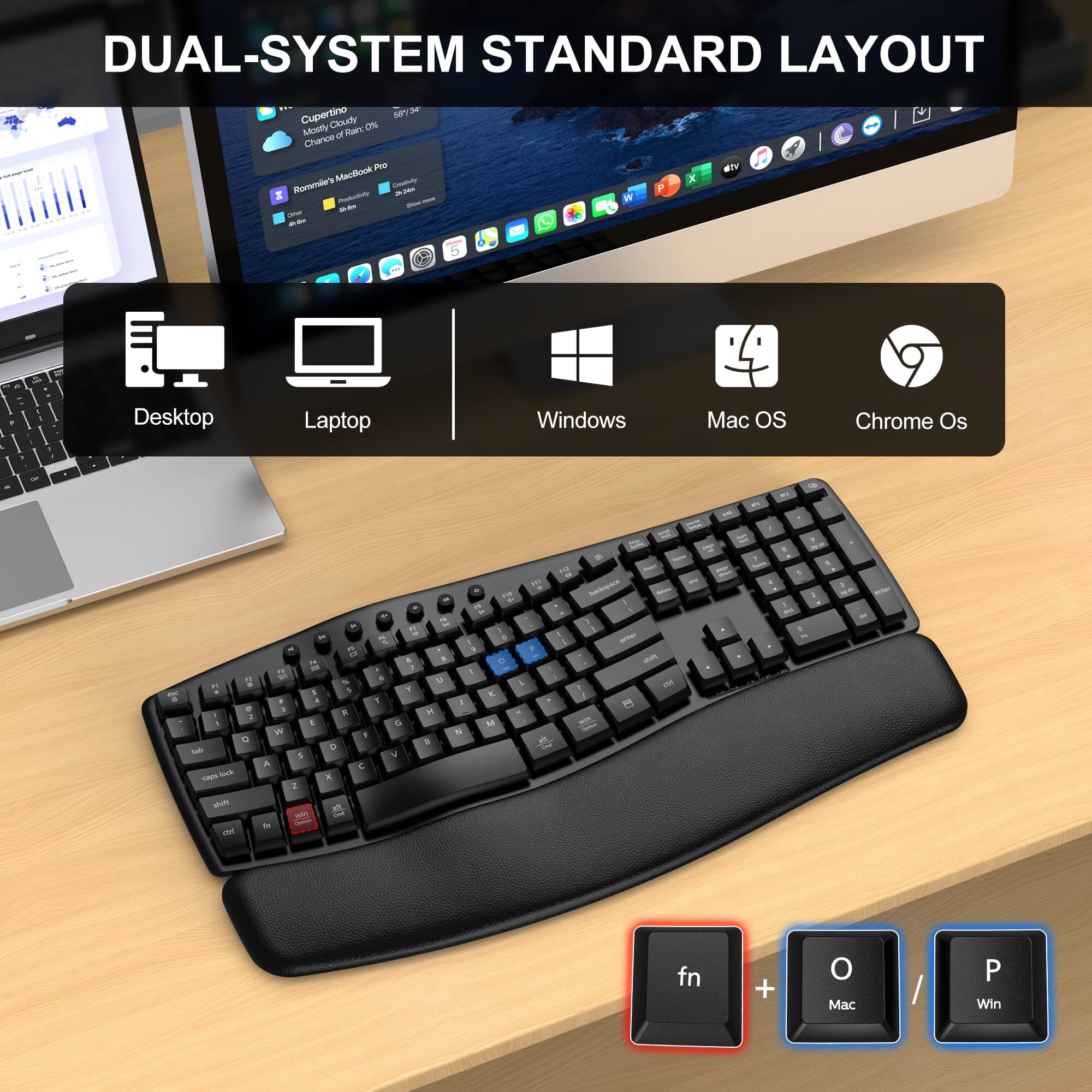 DUAL-SYSTEM STANDARD LAYOUT

Desktop Laptop Windows Mac OS Chrome OS

fn + O Mac / P Win