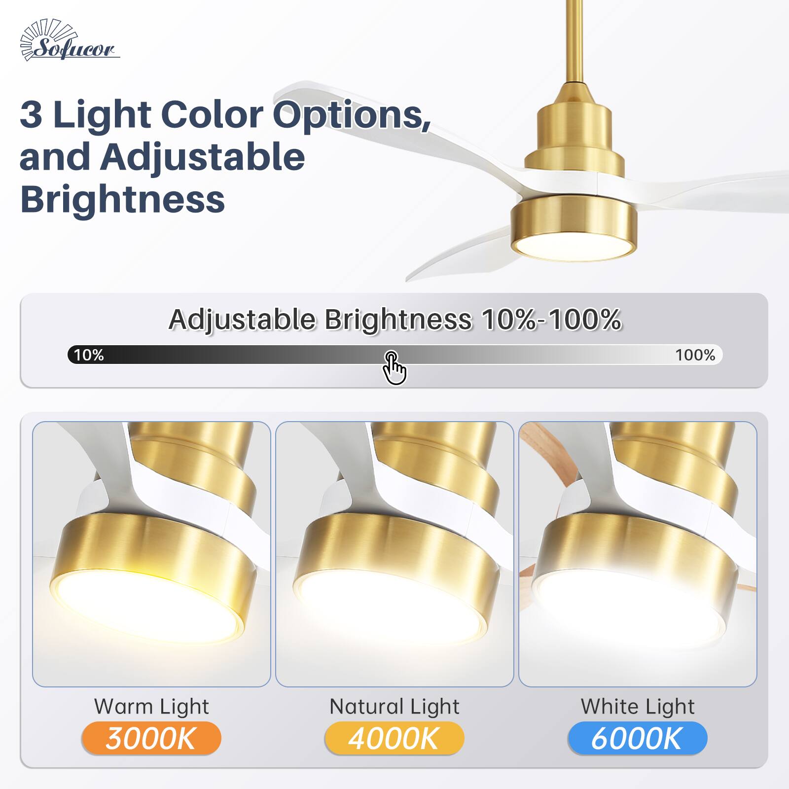 3 Light Color Options, and Adjustable Brightness

Adjustable Brightness 10%-100%

Warm Light 3000K  
Natural Light 4000K  
White Light 6000K