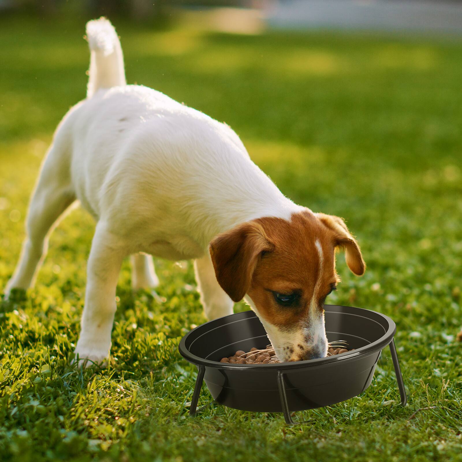 Alt View 3. Oumilen - Disposable Pet Bowls 50 Pack – 6.1" Black Plastic Dog Cat Feed Bowls, Leak-Resistant for Dry Wet Food Water  - Black.