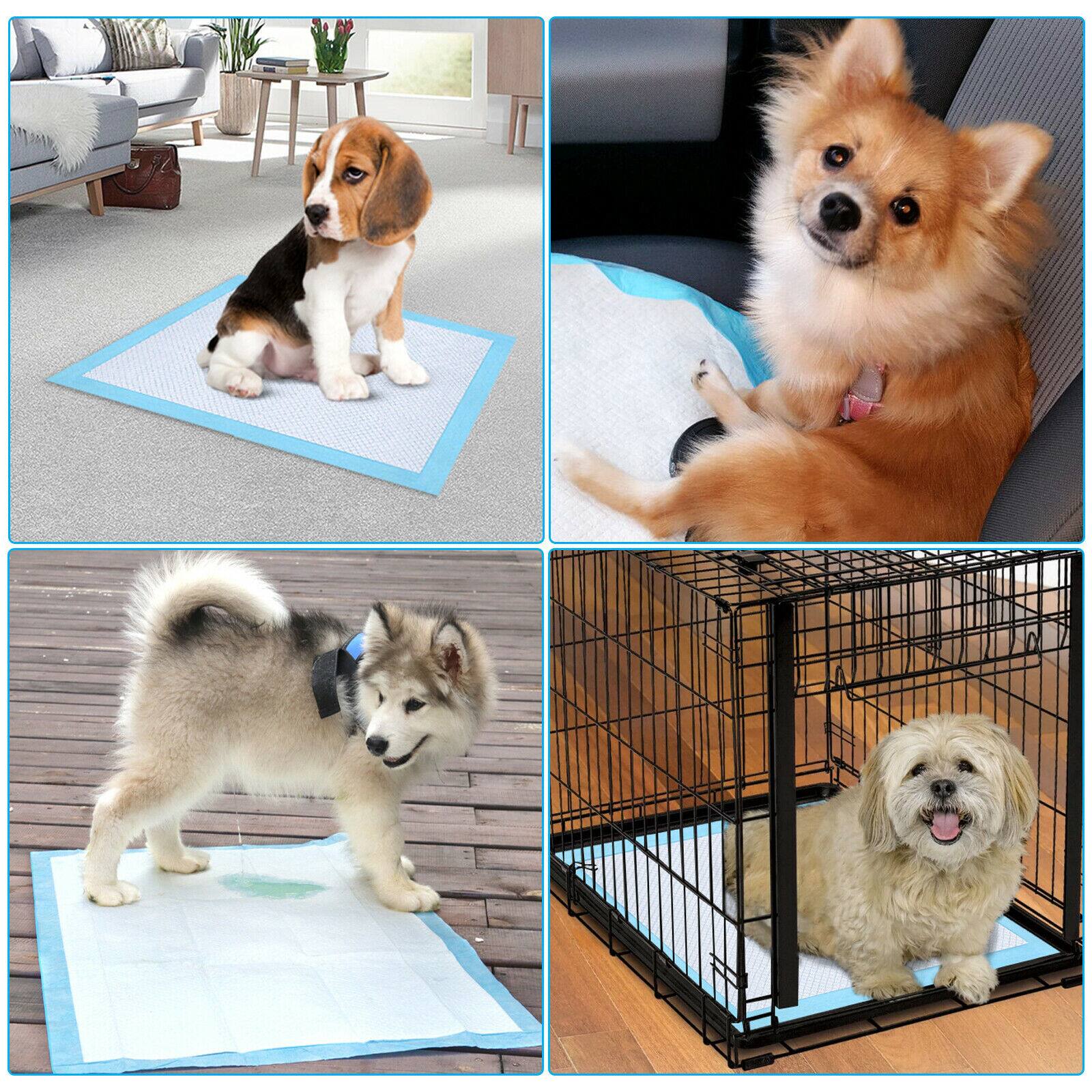 Alt View 5. Ownpets - 6 Layer Pet Dog Training Pads Pee Mats - Blue White.