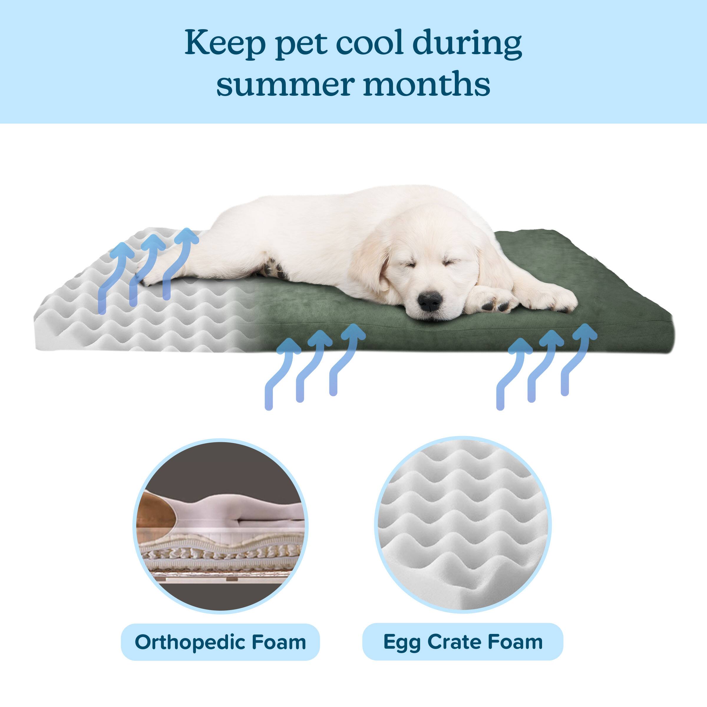 Keep pet cool during summer months

Orthopedic Foam  
Egg Crate Foam