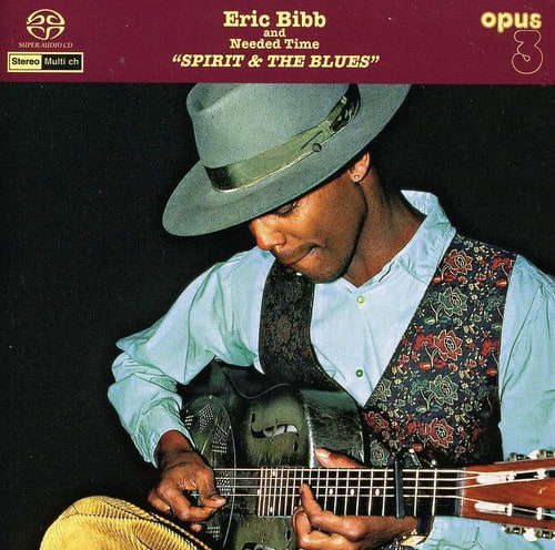 Eric Bibb - Needed Time: Spirit & the Blues   - SUPER-AUDIO CD [Super Audio CD (SACD)] price history on PriceWatchPro