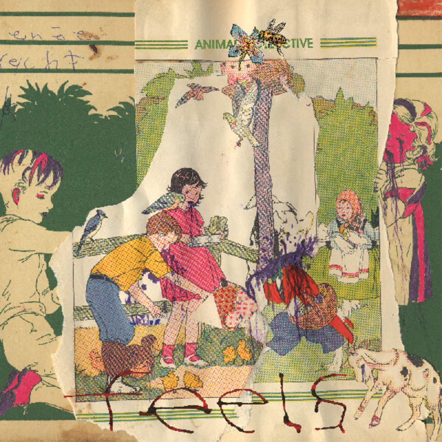 Animal Collective - Feels   - VINYL LP price history on PriceWatchPro