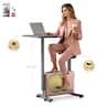 HARISON - 2-in-1 Desk Exercise Bike for Home Office, Quiet Magnetic Resistance Exercise Bike with 330 LBS (BBB15G) - Rose Gold