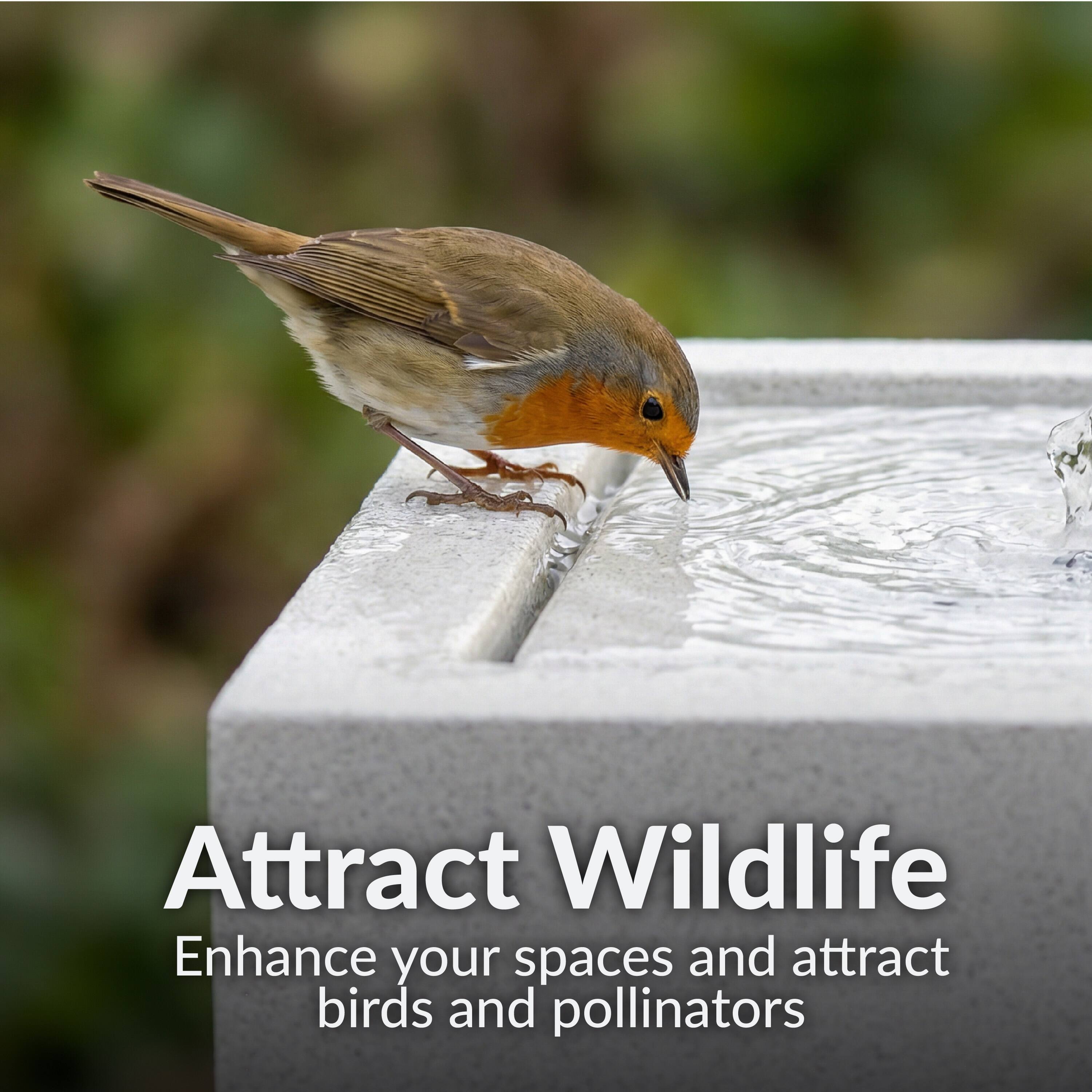 Attract Wildlife  
Enhance your spaces and attract birds and pollinators