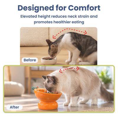 Designed for Comfort  
Elevated height reduces neck strain and promotes healthier eating  

Before  
After