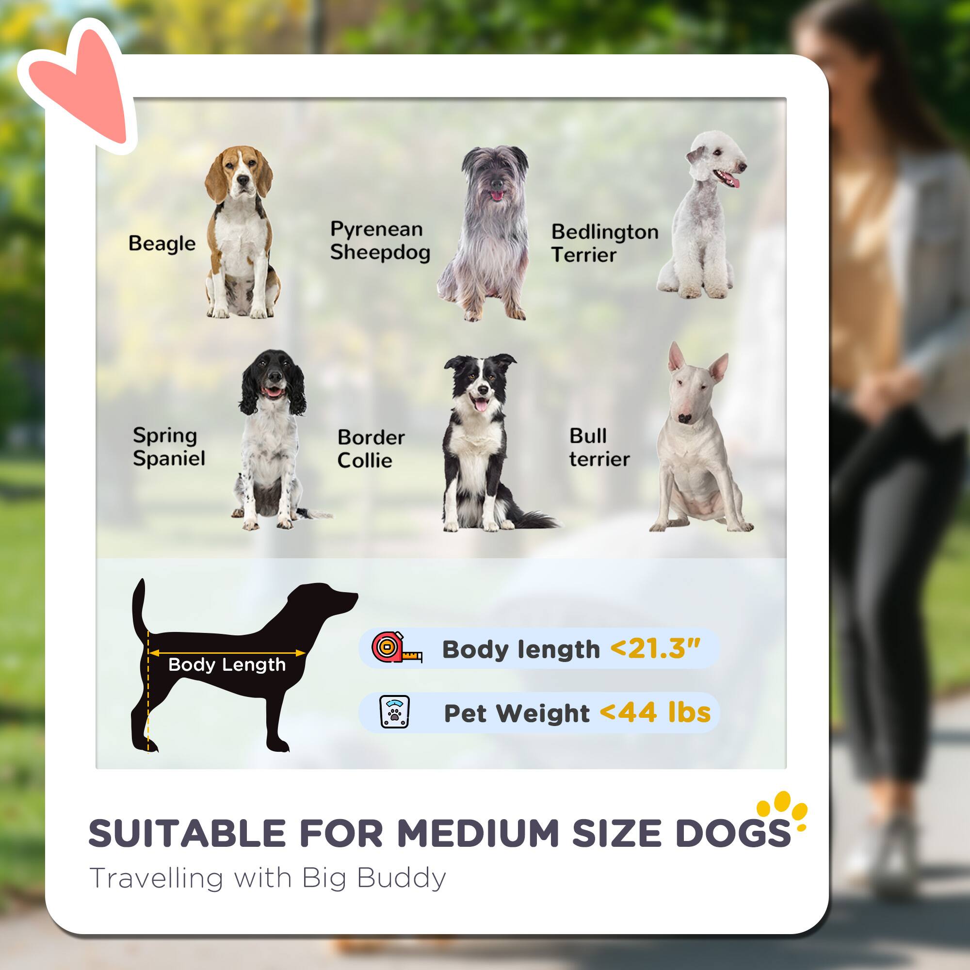 Back. Pawhut - Dog Stroller, 3 Wheels Pet Stroller with One-Hand Fold, Rubber Wheels, Storage Bag, Cushion, Safety Leash.