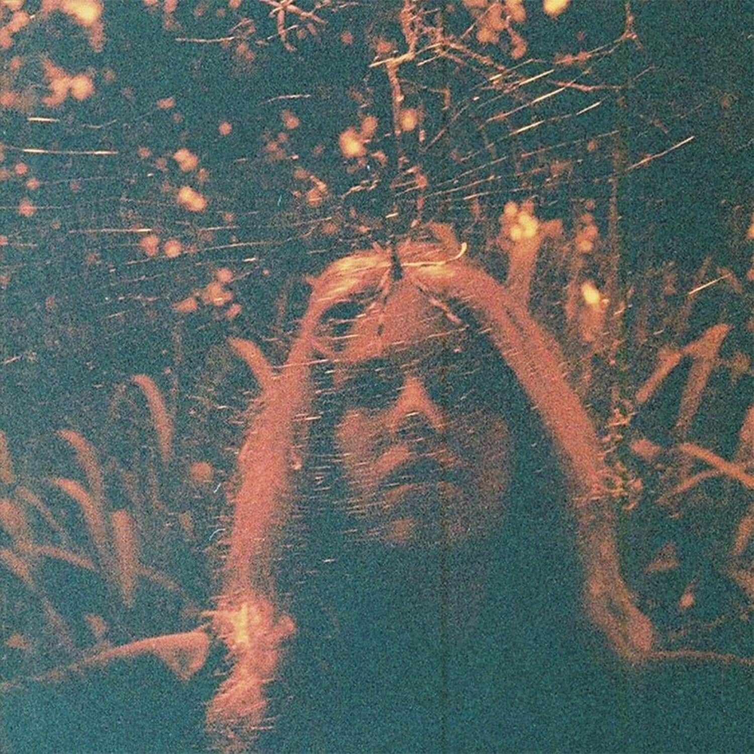 Front. Turnover - Peripheral Vision - Clear Orange   - VINYL LP.