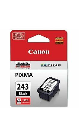 Canon - PG-243 Pigment Black Ink Cartridge PG243 243