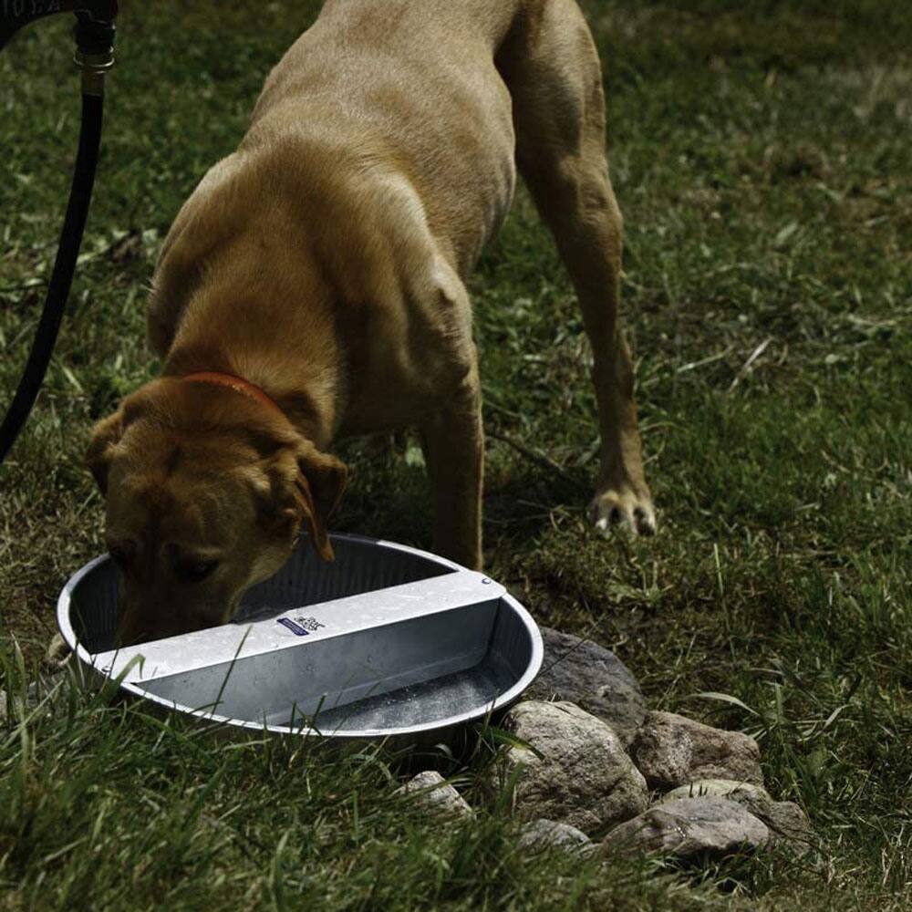 Alt View 7. Little Giant - Little Giant Automatic Dry Dog Food Feeder & 3.25 Gal Steel Ever Full Water Bowl - Silver.