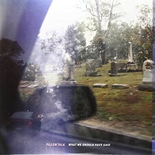 Pillow Talk - What We Should Have Said   - VINYL LP price history on PriceWatchPro