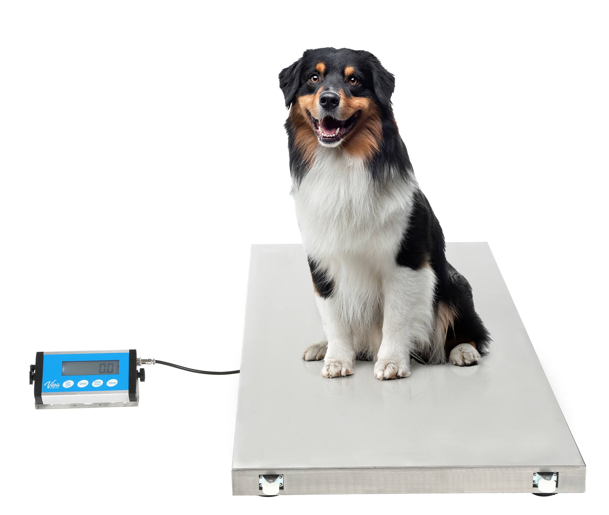 Alt View 6. Viva Comfort - ME904 Series Veterinary Pet Scale with LCD Display and Wheels - White.