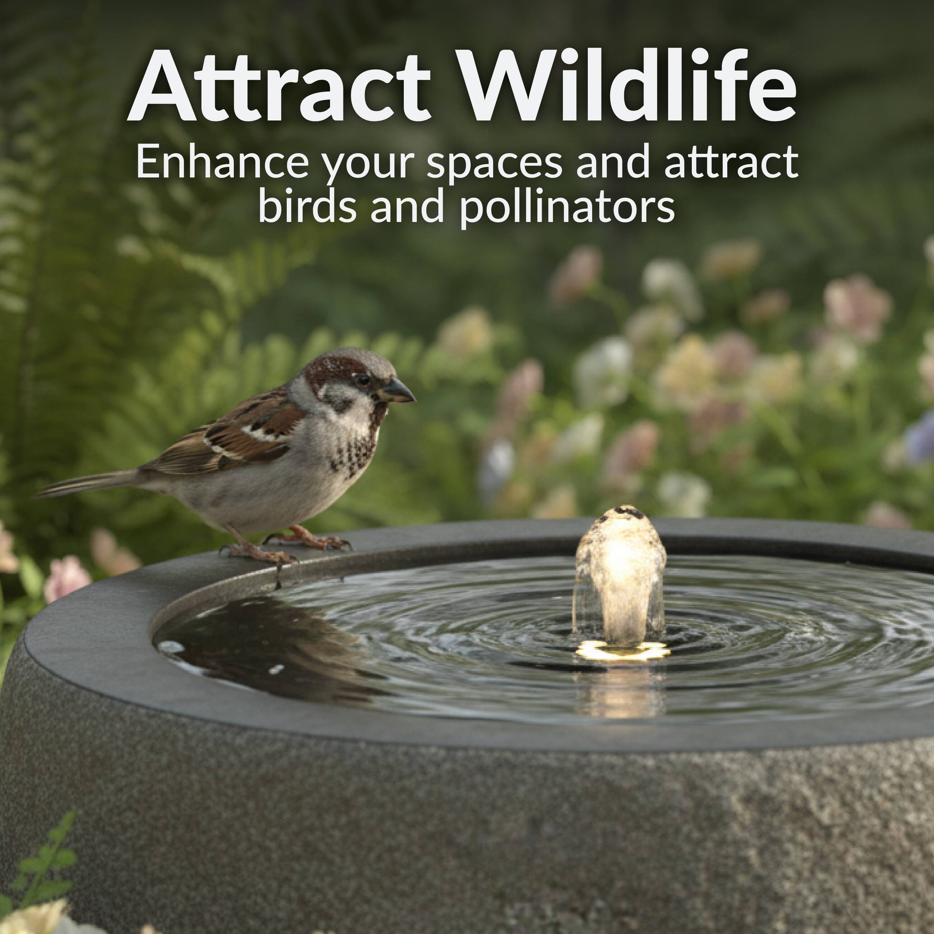 Attract Wildlife  
Enhance your spaces and attract birds and pollinators
