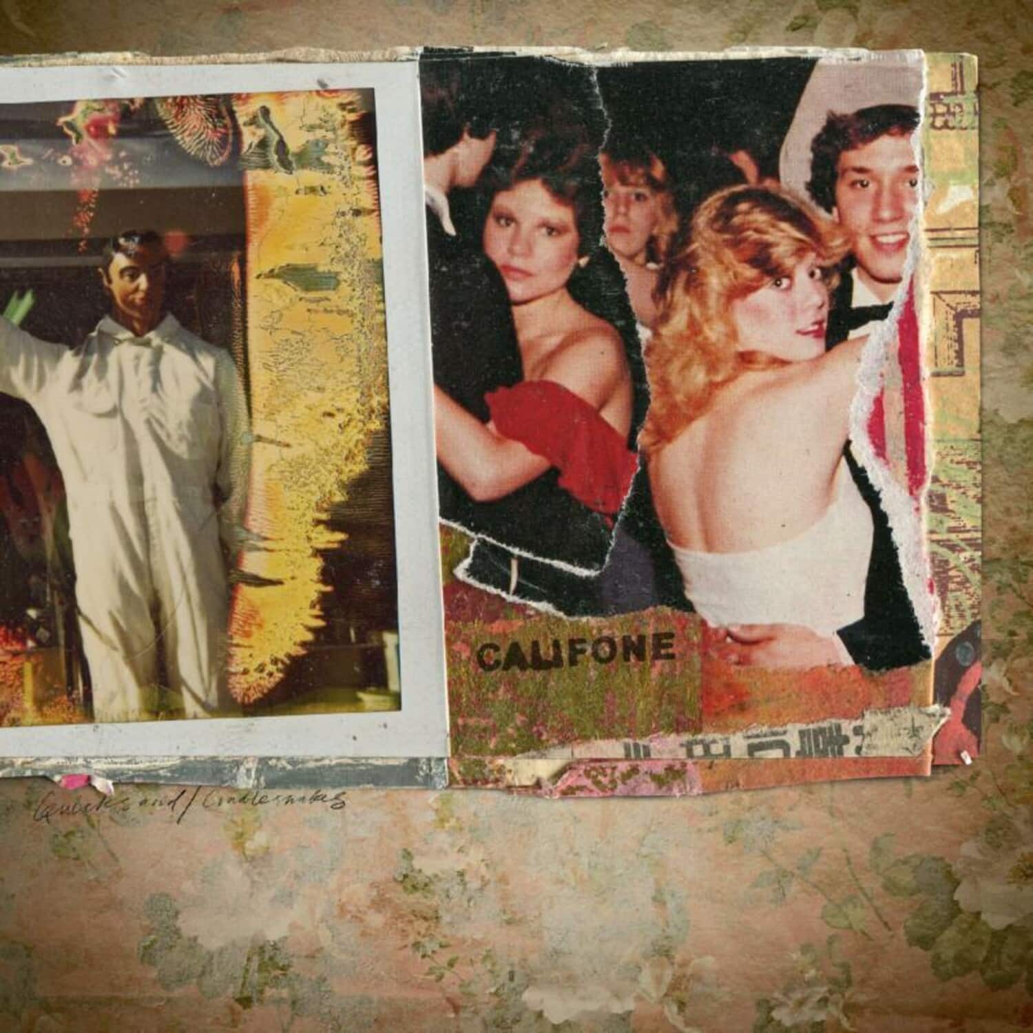 Califone - Quicksand / Cradlesnakes   - COMPACT DISCS [CD] price history on PriceWatchPro