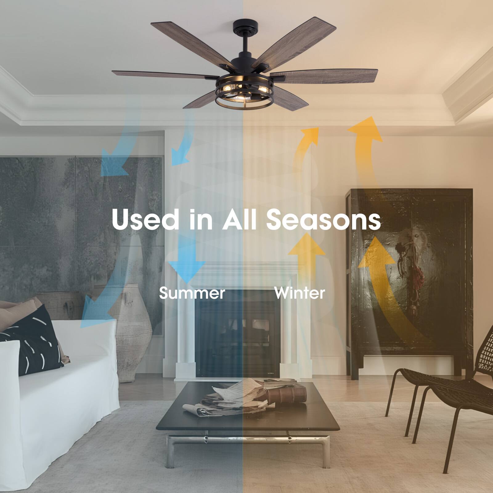 Used in All Seasons

Summer

Winter