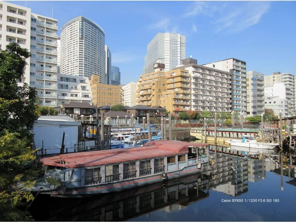 Canon IXY650 1/1250 F3.6 ISO 160