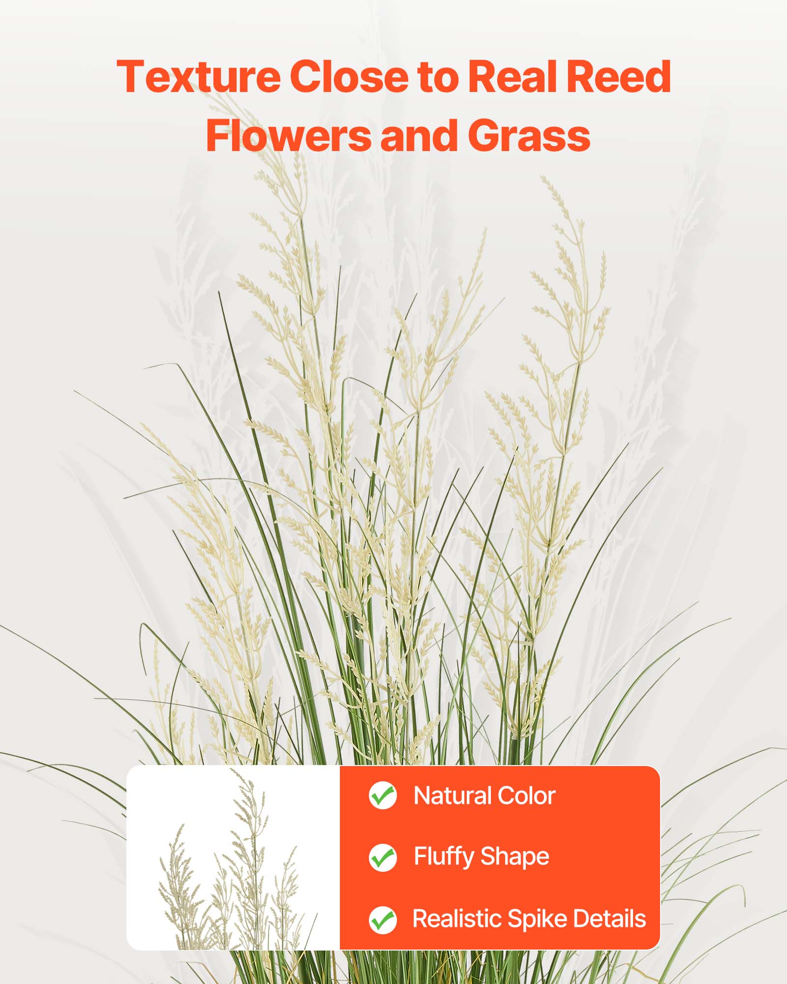 Texture Close to Real Reed Flowers and Grass

- Natural Color
- Fluffy Shape
- Realistic Spike Details