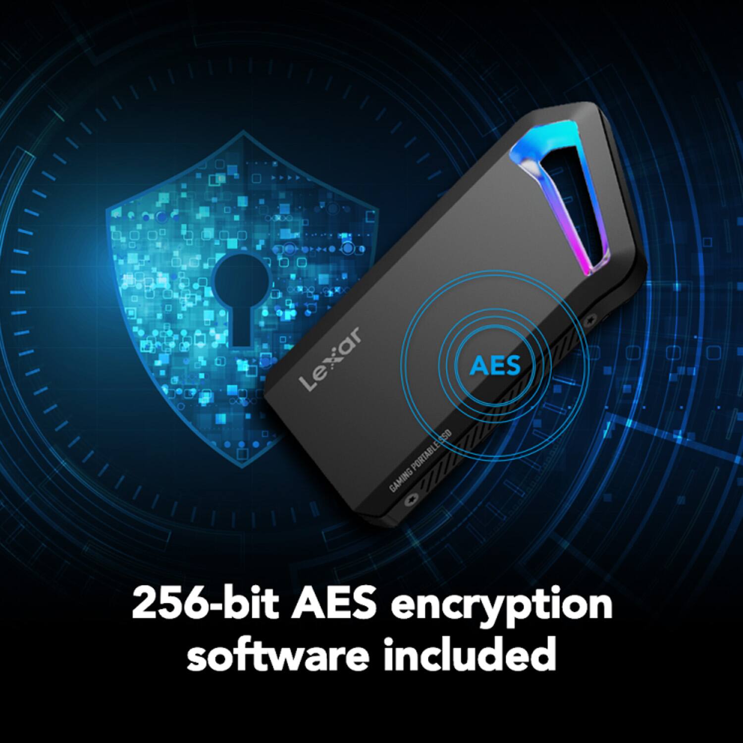 Lexar AES 4SD PORTABLE GAMING  
256-bit AES encryption software included
