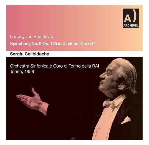 Beethoven / Celibidache - Sym 9: Rizzoli-Hoeffg   - COMPACT DISCS [CD] price history on PriceWatchPro