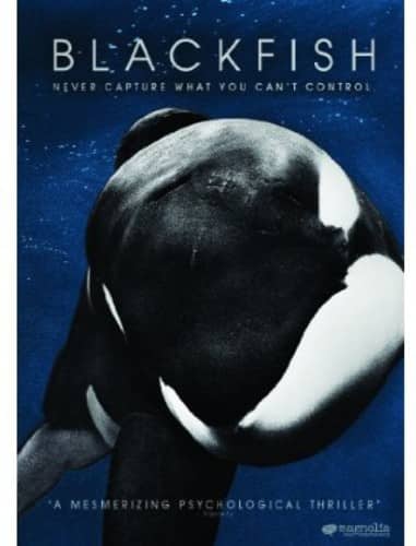 Blackfish  - DVD